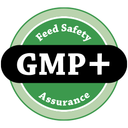 GMP Plus